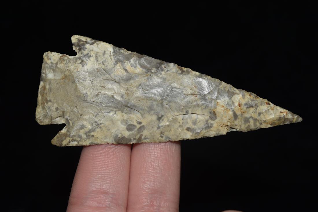 3 7/8" Apple Creek, Owner had Motley C.O.A (1 of 4)