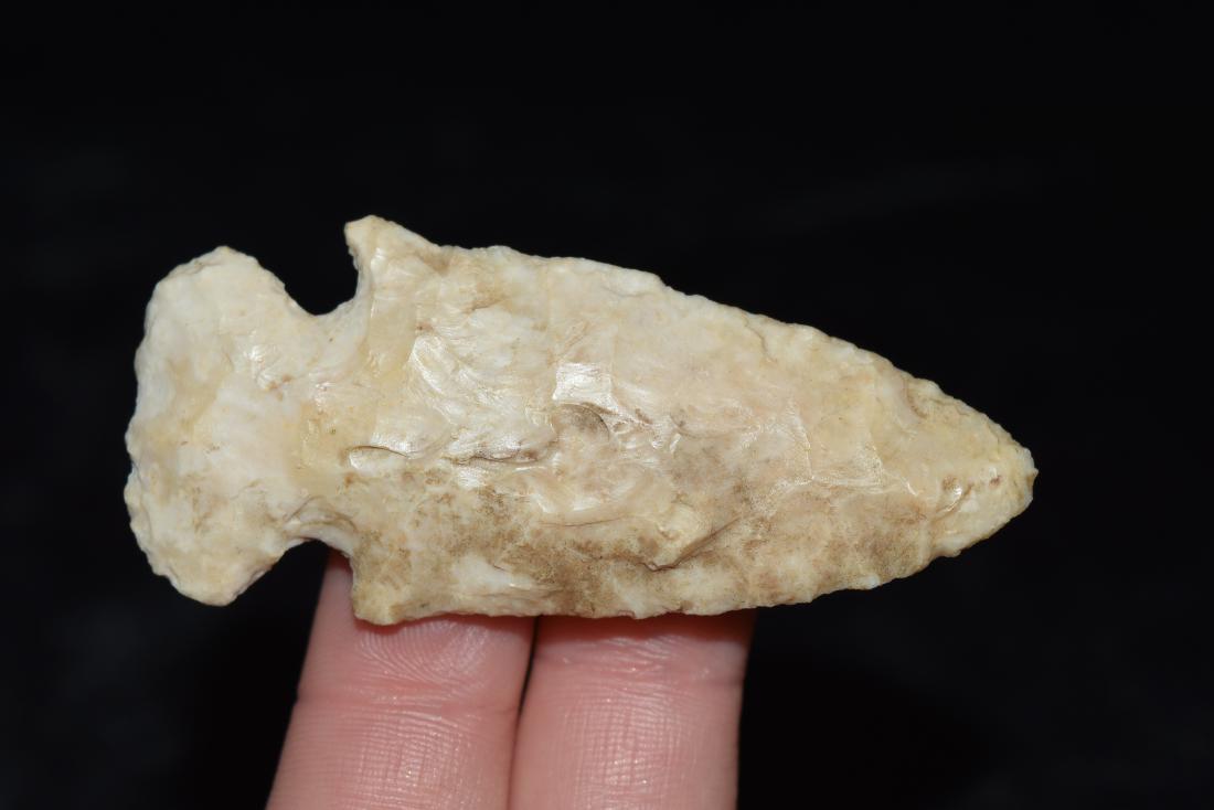 2 1/2" Dovetail Point, Pike Co, Illinois (1 of 4)