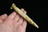 5" Shell Ear Plug, Pictured 1954 Indian Relics - 2