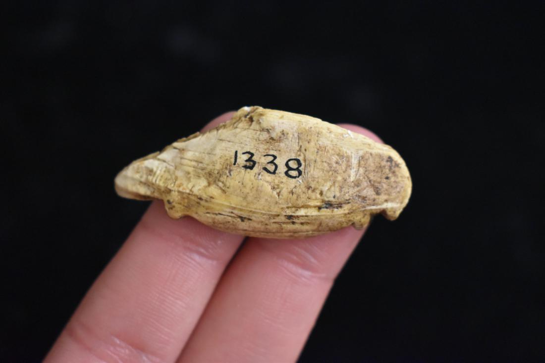 2" Effigy, Looks like a Beaver, Pictured 1954 (1 of 4)