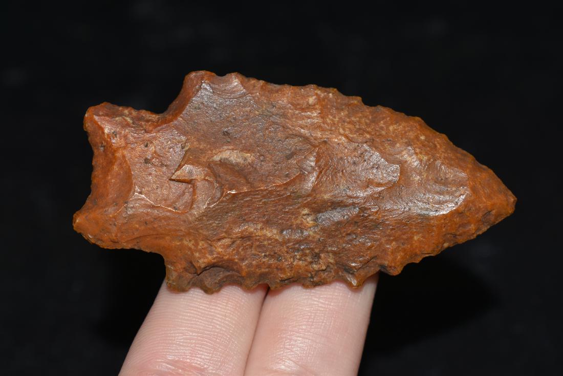 2 11/16" Kirk Point Davis COA Great Serrations & Color (1 of 5)