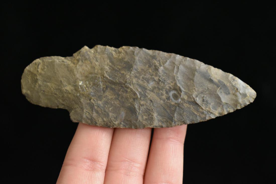 4" Adena, Dover Chert, KY. Davis COA (1 of 5)