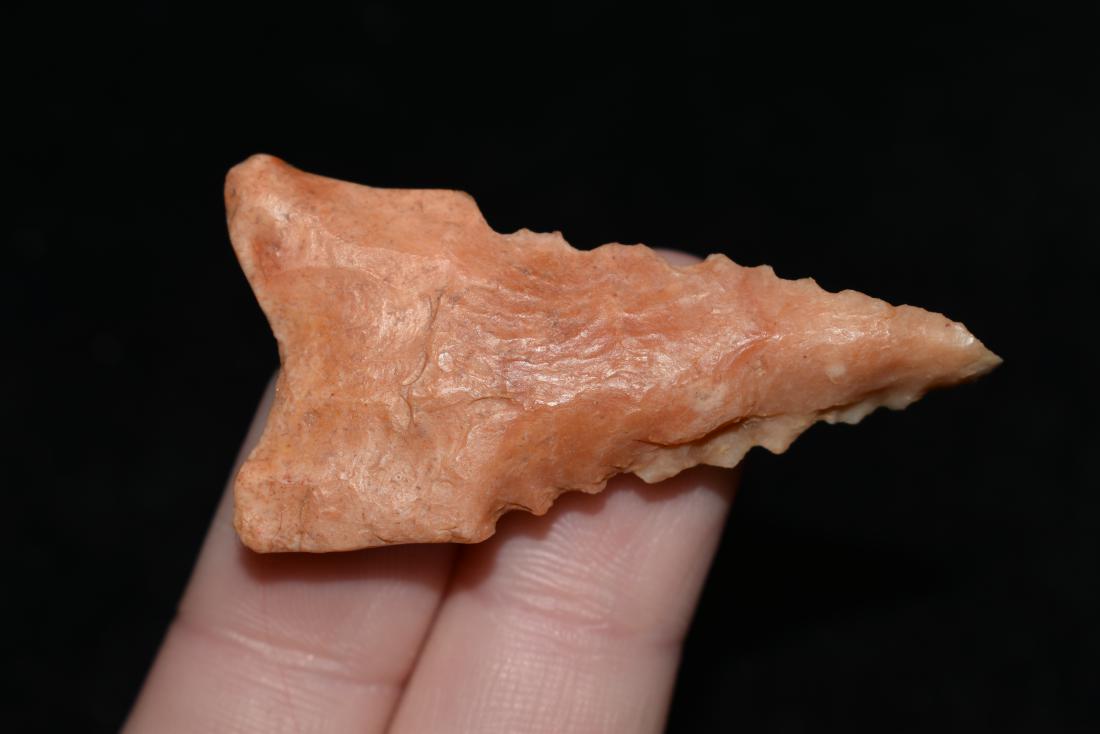 1 7/8" Dalton Pictured Hothem IV, Dunklin Co. MO (1 of 5)