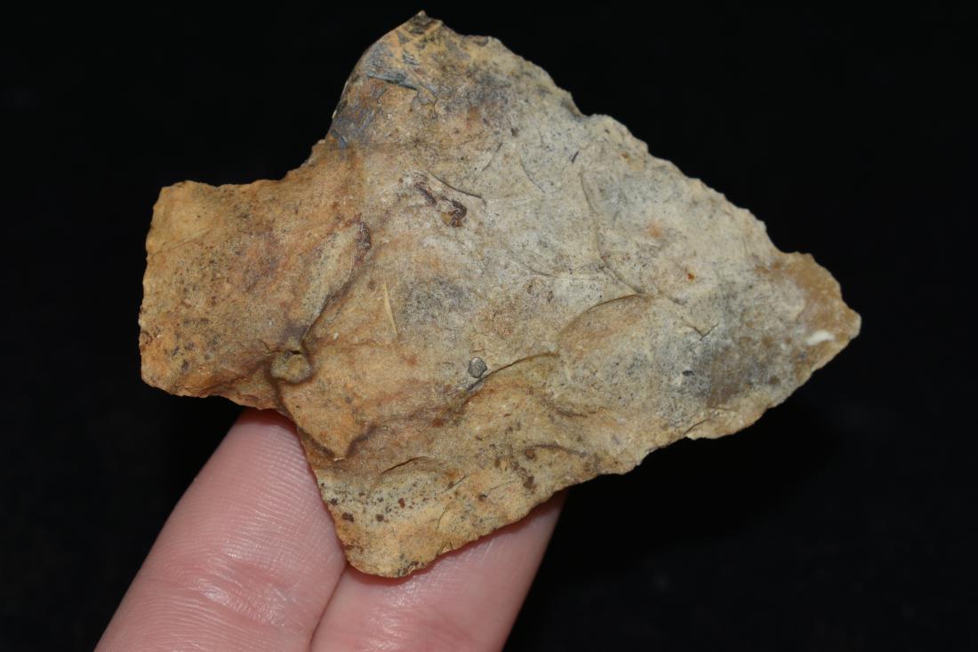 2 3/4" Six Mile Creek Point, Pasco Co, Florida (1 of 4)