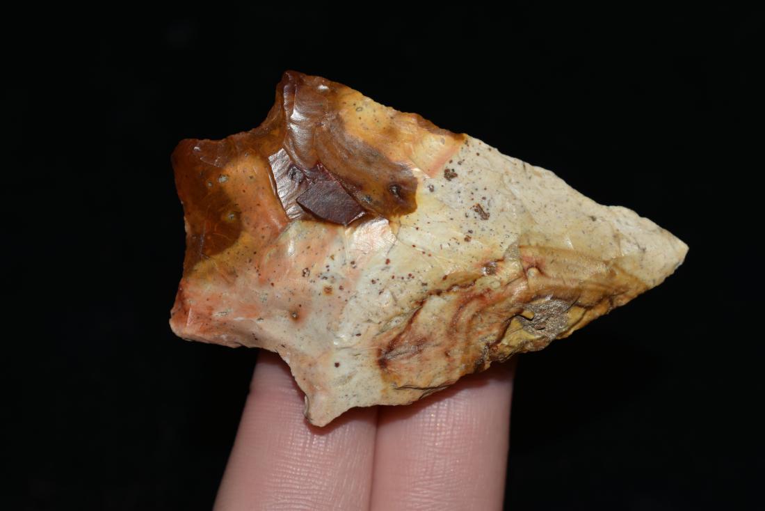 2 1/2" Arredondo Point, Levy Co, Florida (1 of 4)