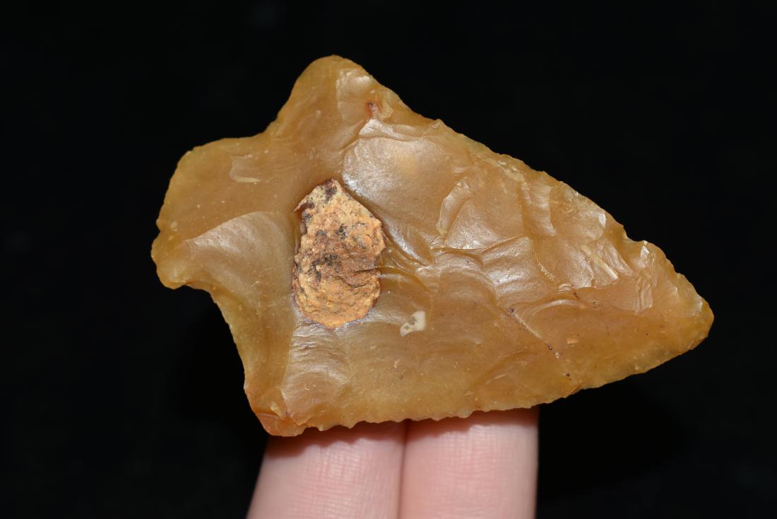 2 1/2" Six Mile Creek Point, Pasco Co, Florida, Nice (1 of 4)