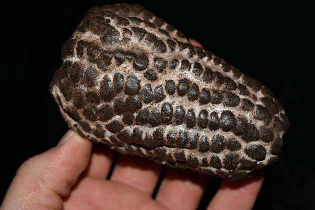 4 1/4" Corn Offering Effigy Found in Peru (1 of 6)