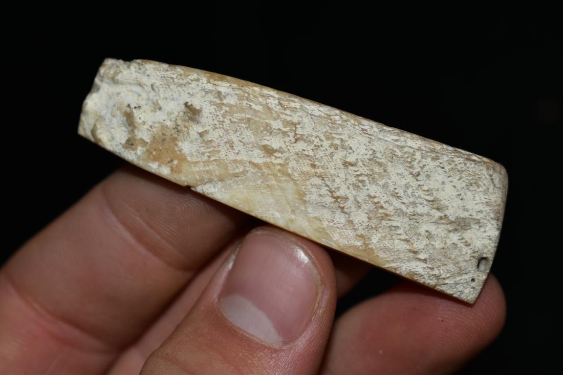 2 5/8" Spondylus Shell Drilled on One End, Peru (1 of 6)