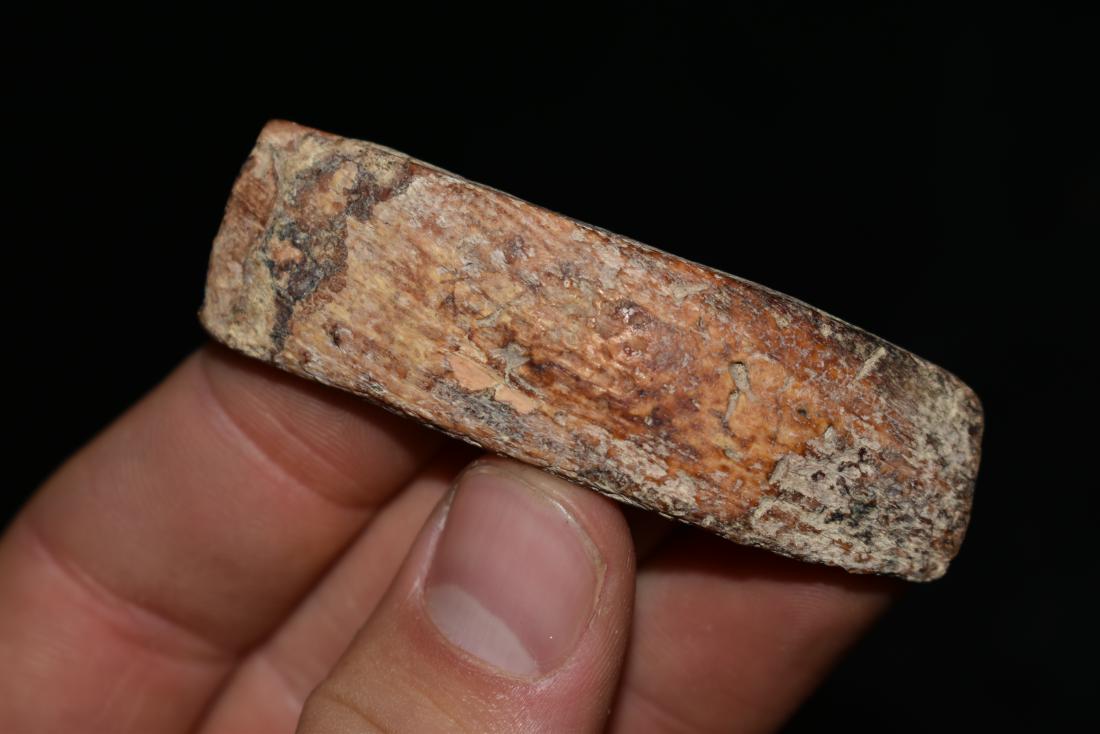 2 5/8" Spondylus Shell, Double Drilled Gorget, Peru (1 of 6)