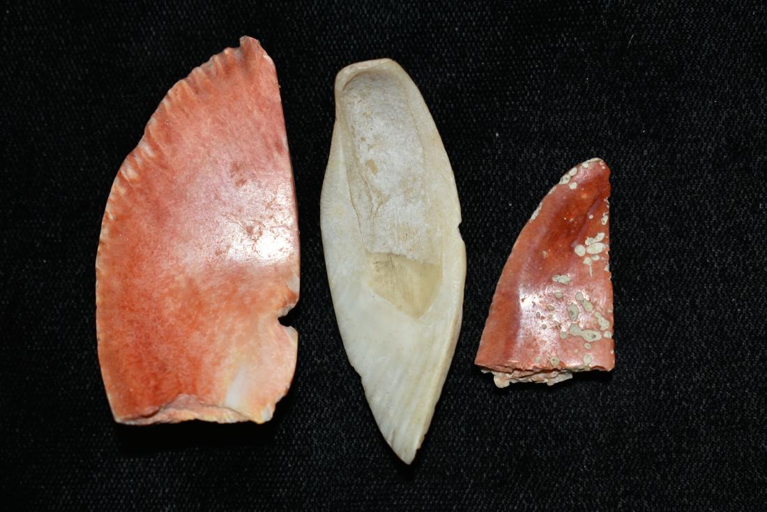 2" and 2 1/8" x 1 1/4" Spondylus Shell Pendants, Peru (1 of 3)