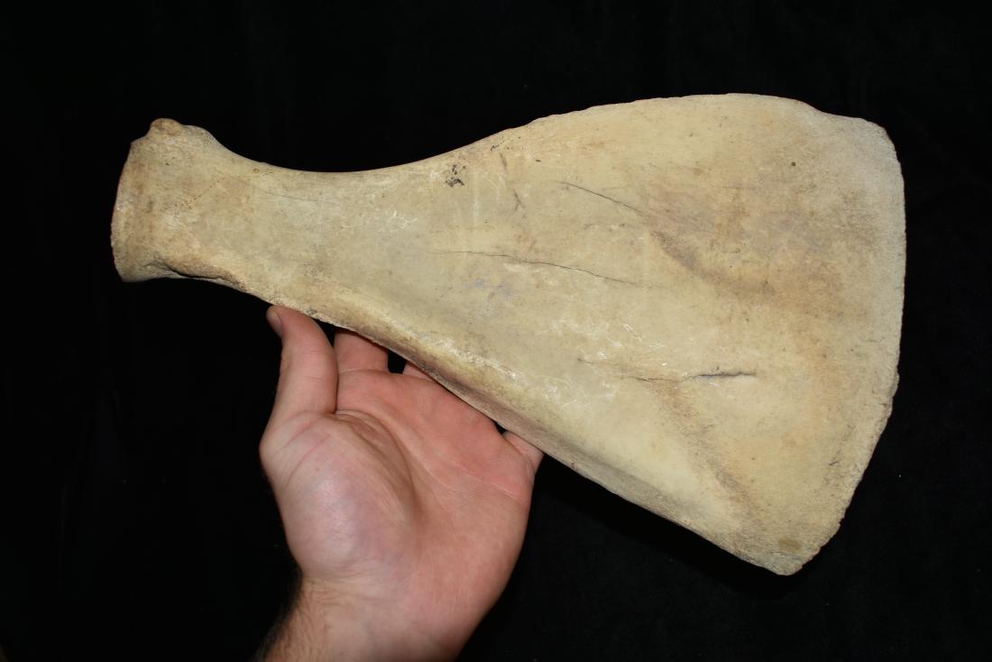 12 3/4" Buffalo Hoe Mandan S.D (1 of 6)