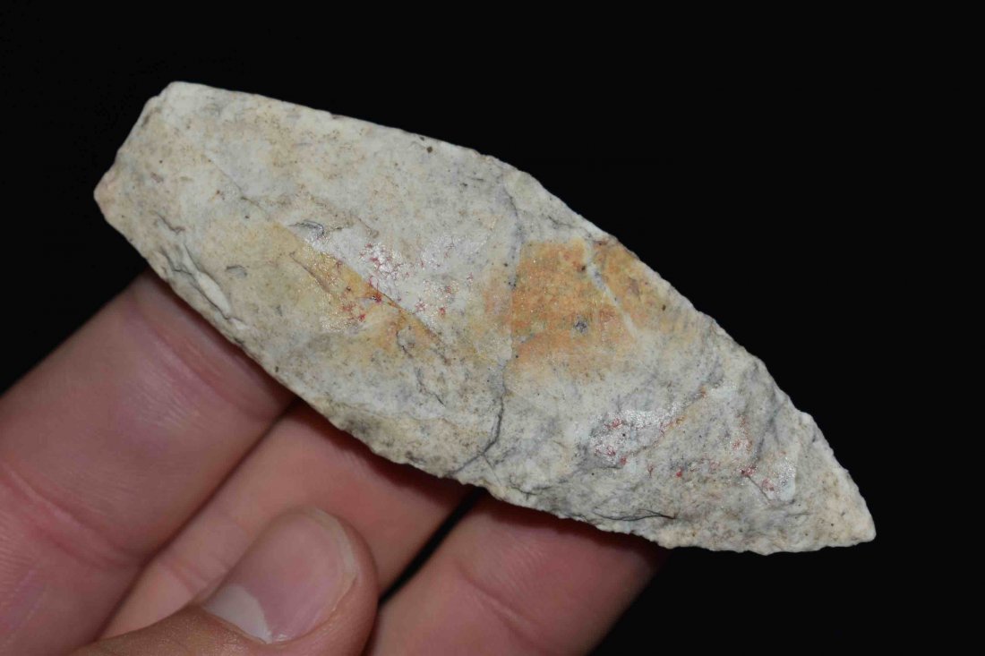 Nice 3 1/4" Sedalia  Meadows COA (1 of 8)