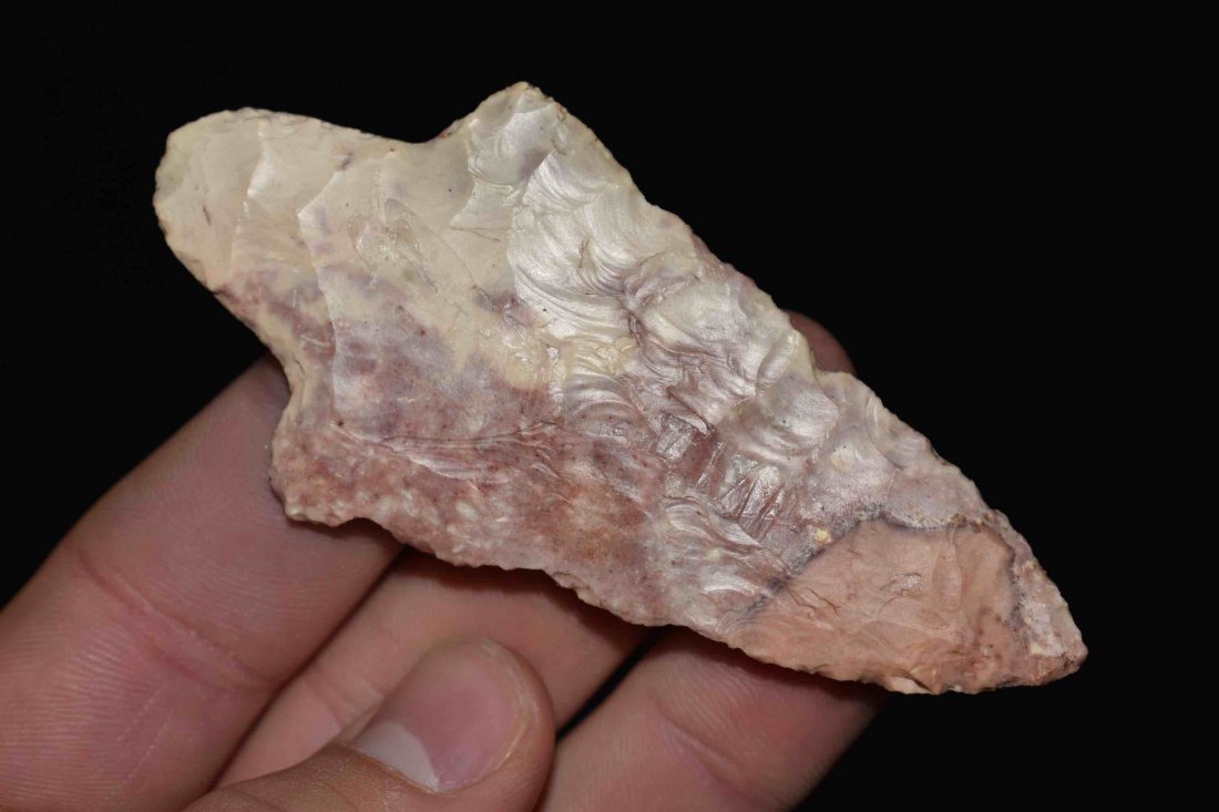 3 10/16" Dickson Point  Meadows COA (1 of 8)