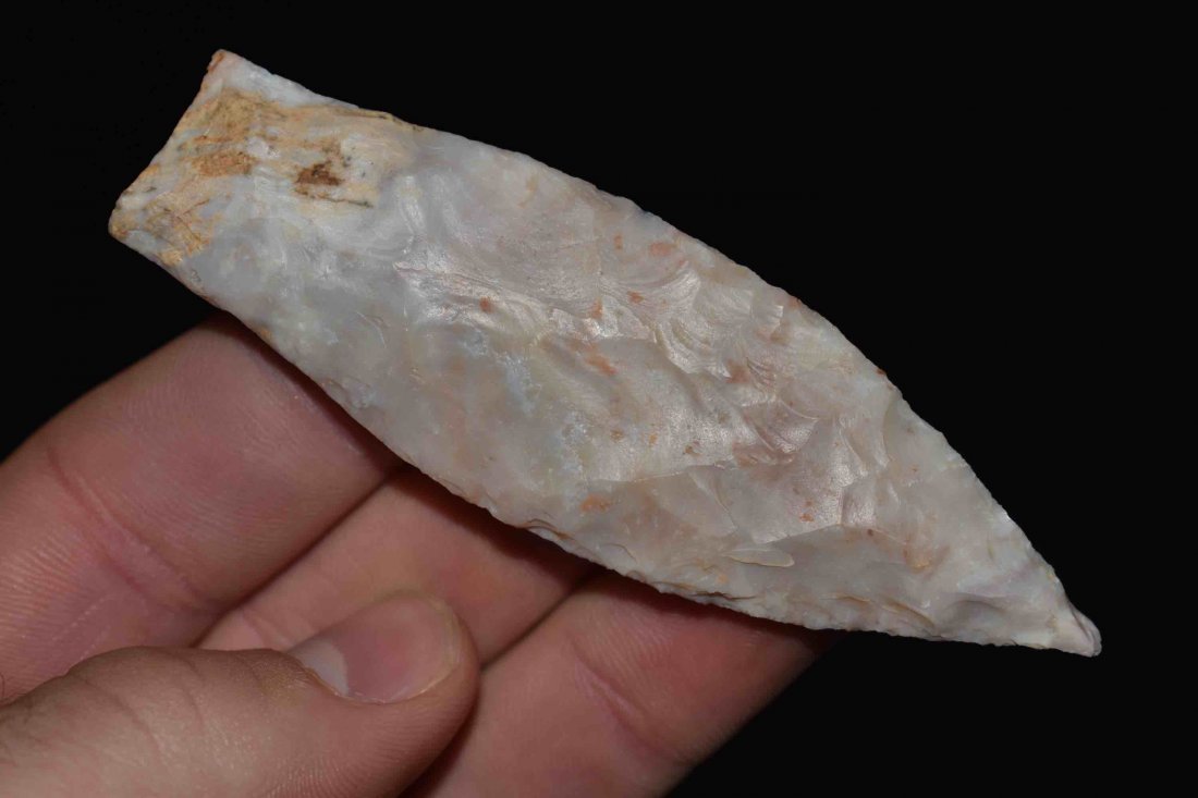 Very Nice 3 5/8" x 1 3/16" Sedalia Meadows COA (1 of 8)