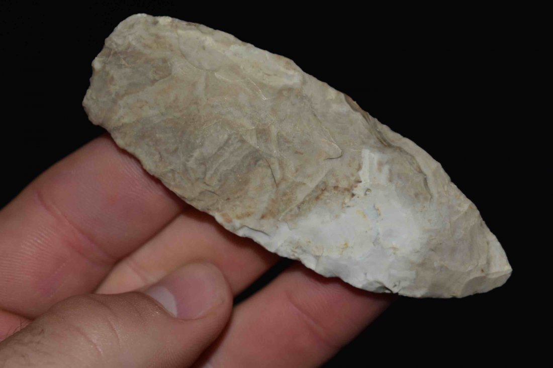 3 1/2" Sedalia  Meadows COA (1 of 8)