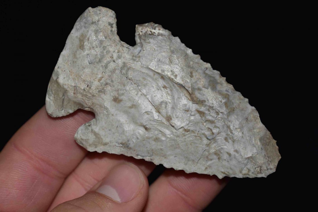 Very Nice 3 1/8" x 1 3/4" Thebes  Meadows COA (1 of 8)