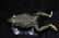 Lot of 3 Antique Frog Lures - 14