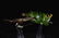 Lot of 3 Antique Frog Lures - 7