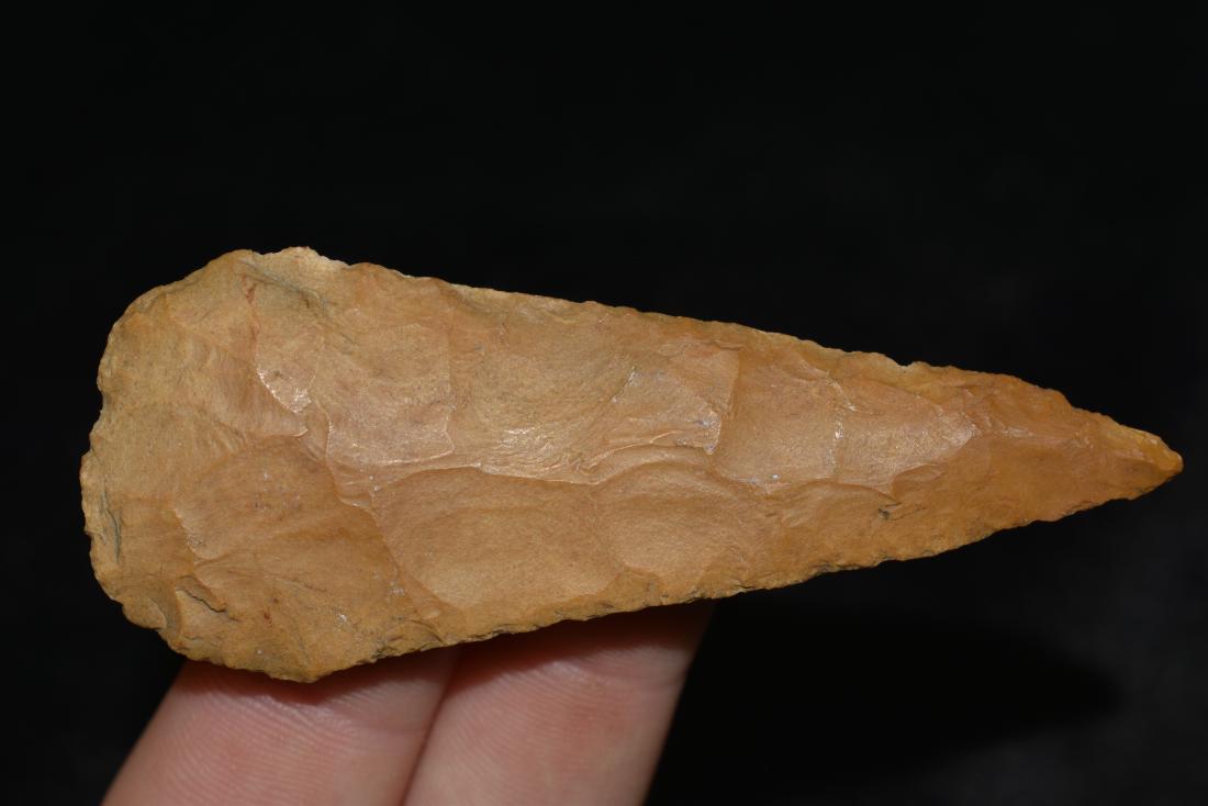 3" Cobbs Lauderdale County, AL, Ken Partain COA (1 of 6)