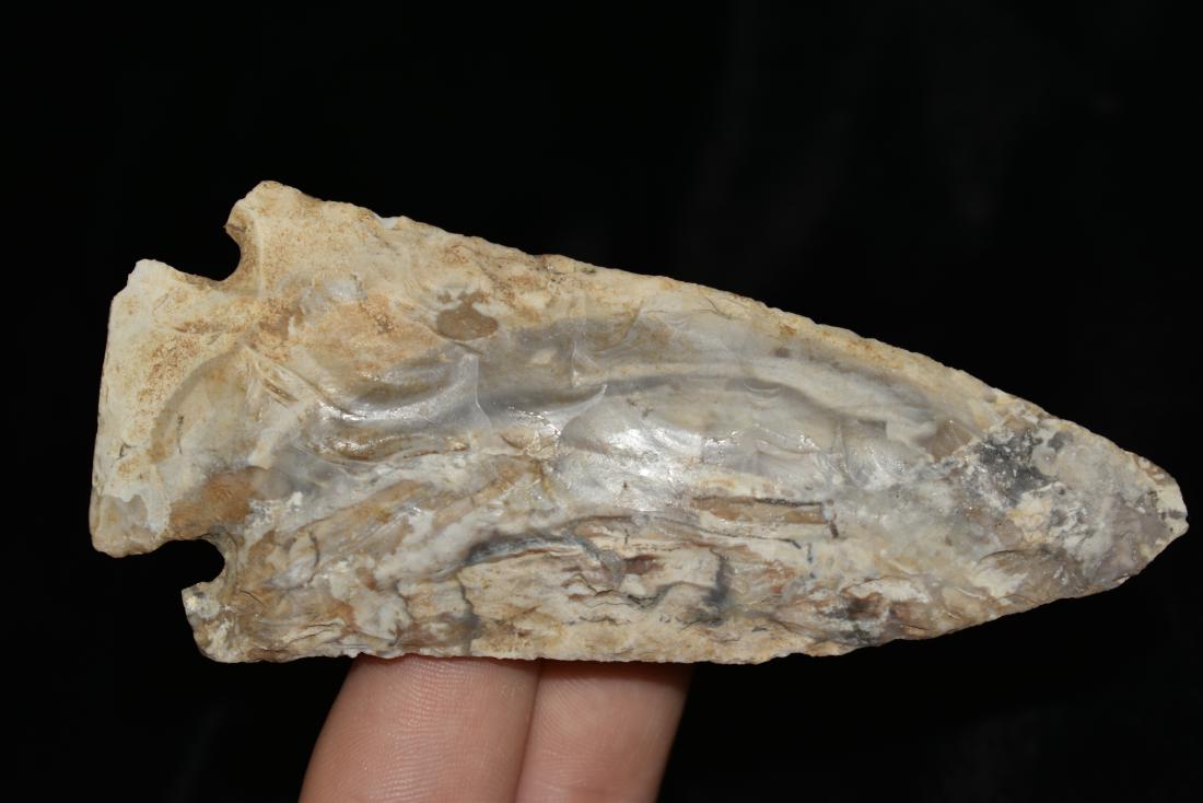 4 5/16" Pulaski Mozarkite, Bennett COA (1 of 7)