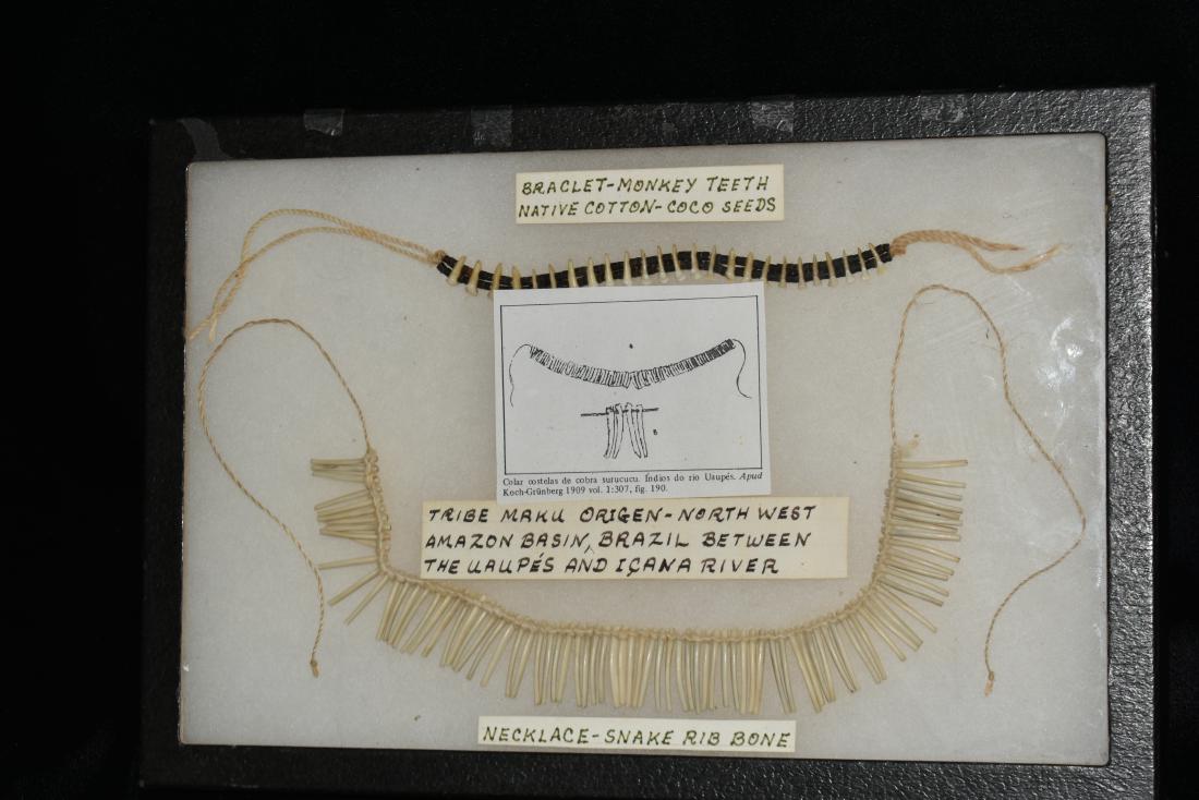 Pair of Native Bone/tooth Necklaces Brazil Amazon Tribe (1 of 4)