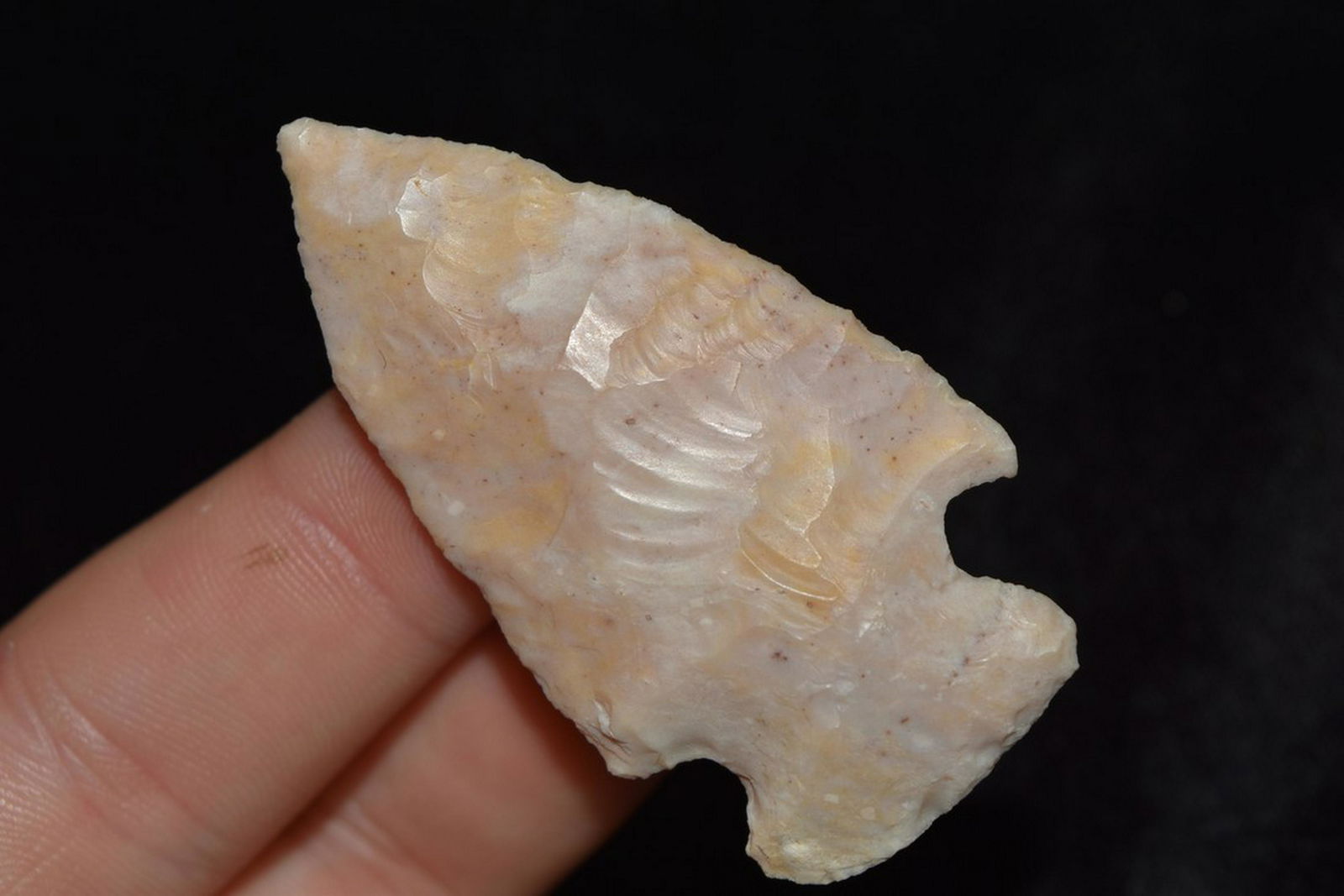 2 1/8" Burlington Gibson, Saline Co Missouri (1 of 4)