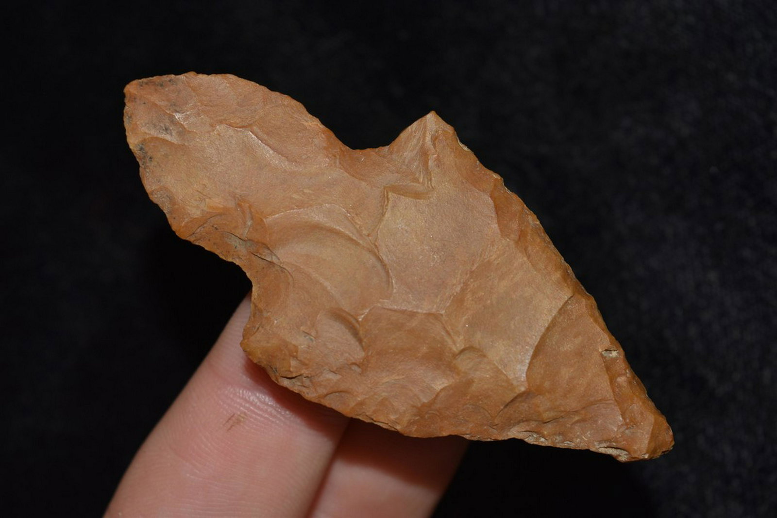 2 3/4" Buffalo River Chert Turkey Tail, Saline Co (1 of 4)