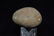 3 5/8" Full Grooved Granite Hammerstone, Saline CO MO - 3