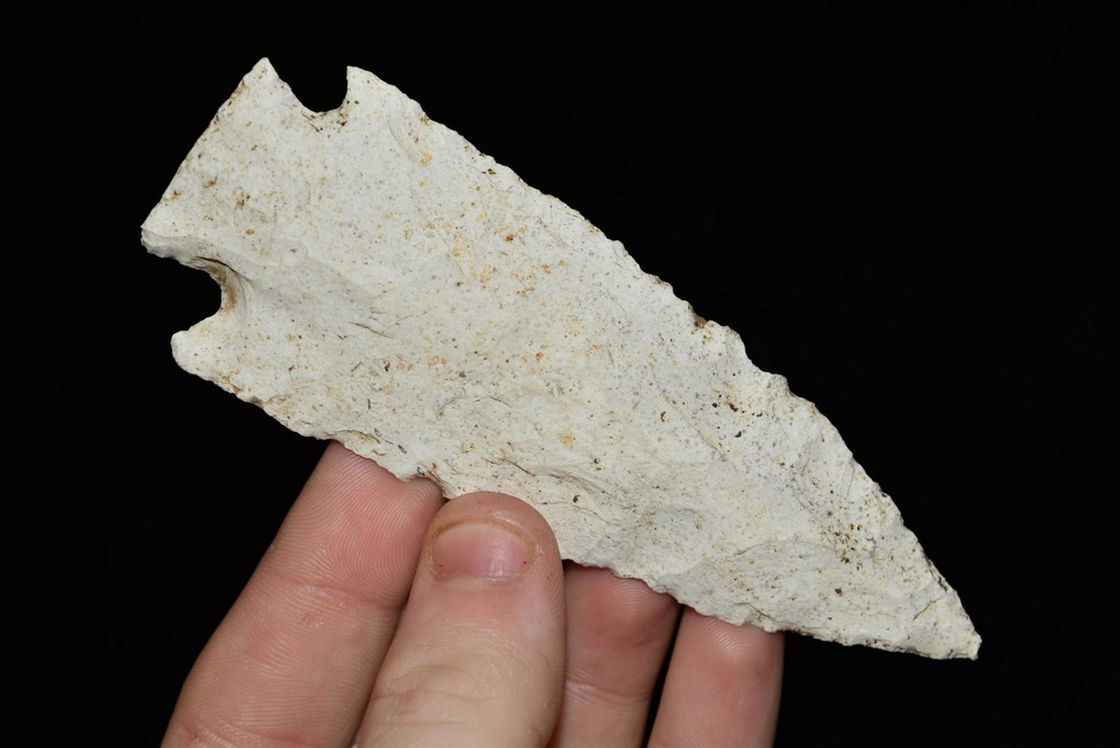 4 1/2" Etley, Meadows COA, Cooper Co., MO (1 of 4)