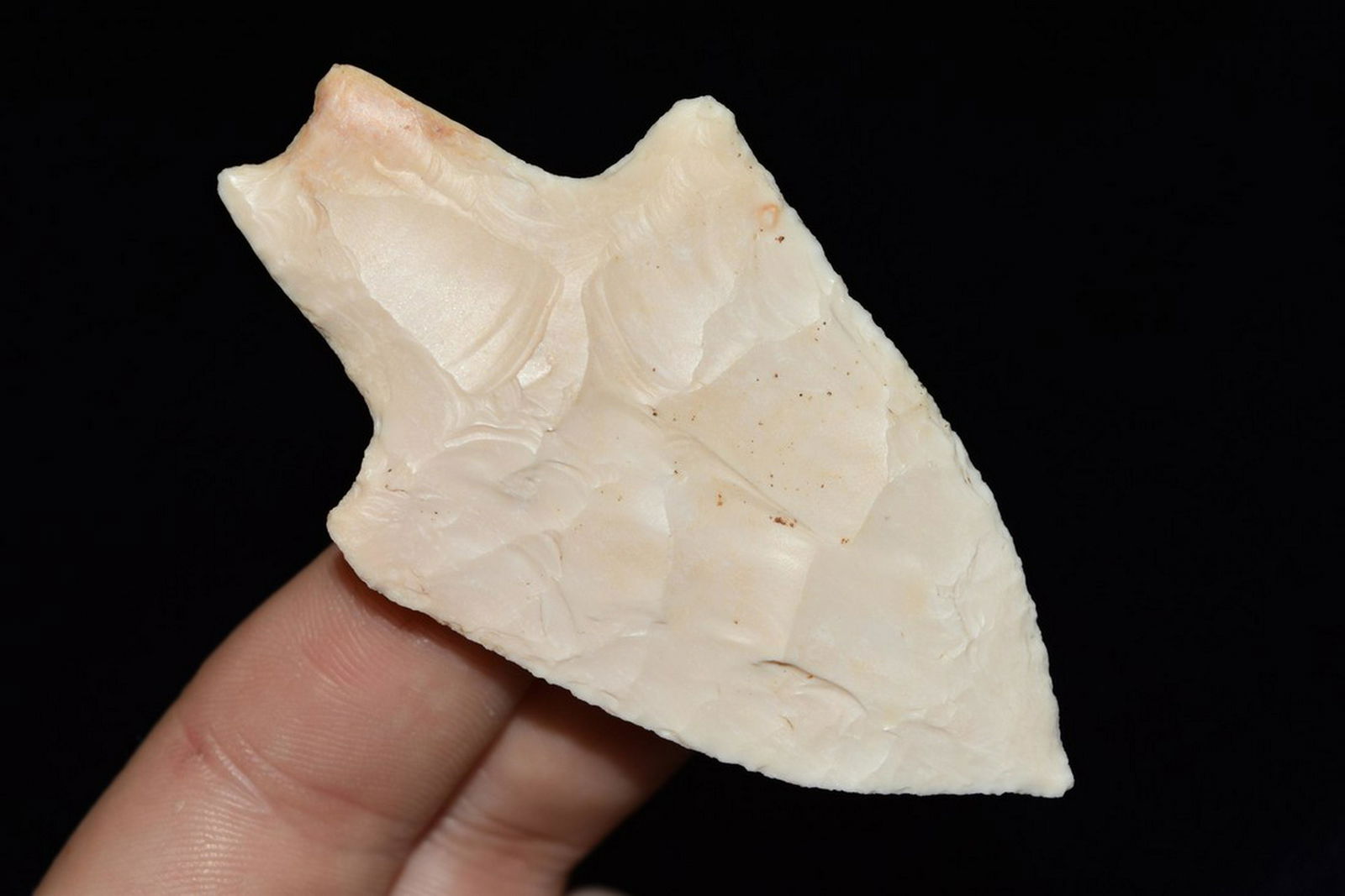 3" Dickson, Meadows COA, Montgomery Co., MO (1 of 5)