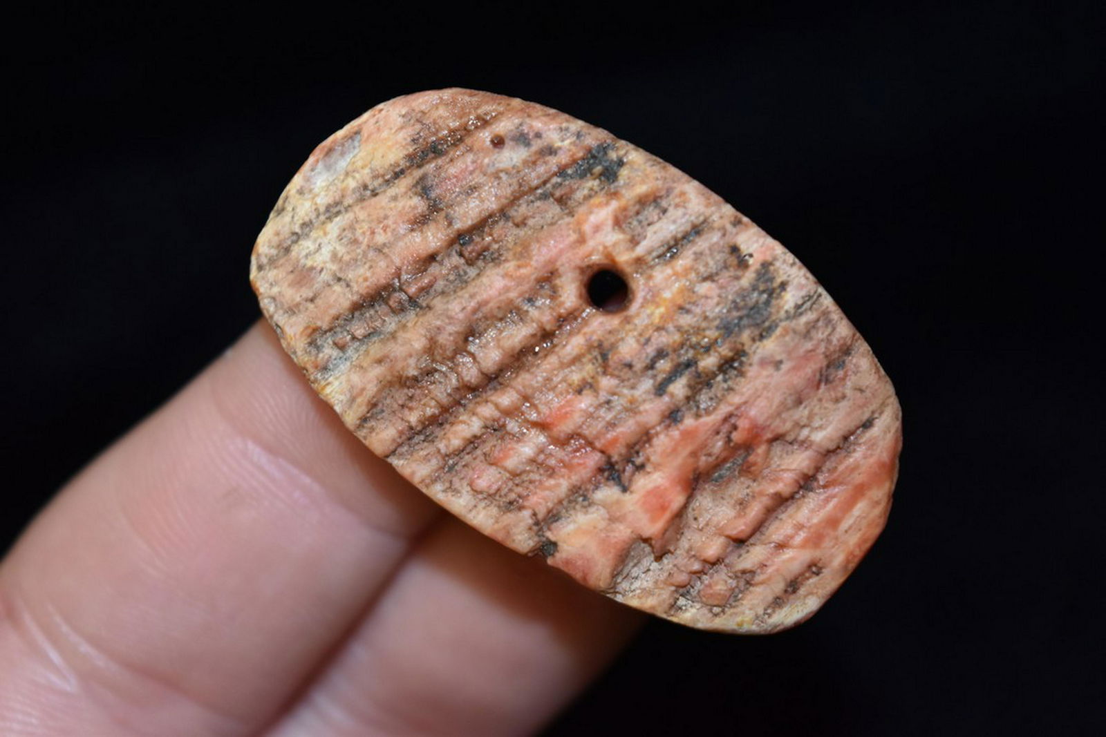 1 5/8" Shell Gorget, Pre-Columbian (1 of 4)