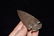 3 5/8" Stunning Sonora Dovetail, Dickey COA - 6