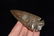 3 5/8" Stunning Sonora Dovetail, Dickey COA - 7