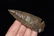 3 5/8" Stunning Sonora Dovetail, Dickey COA - 8