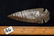3 5/8" Stunning Sonora Dovetail, Dickey COA - 9