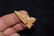1 1/4" Kaolin 3 Notch Cahokia Point, Foundby the late D - 4
