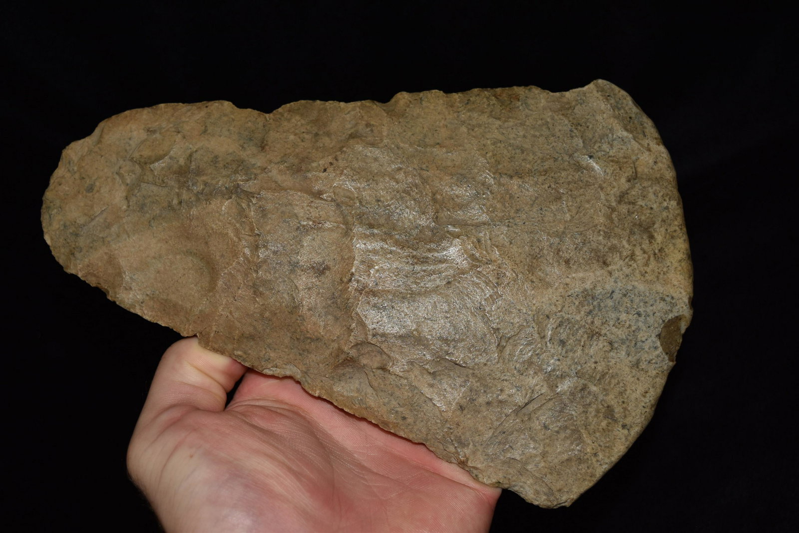 9 1/4" Flare Bit Mill Creek Chert Spade, Mississippi Co (1 of 9)