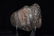 3 1/2" Hematite Full Grooved Axe, Ex, Hershing