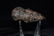 3 1/2" Hematite Full Grooved Axe, Ex, Hershing - 3