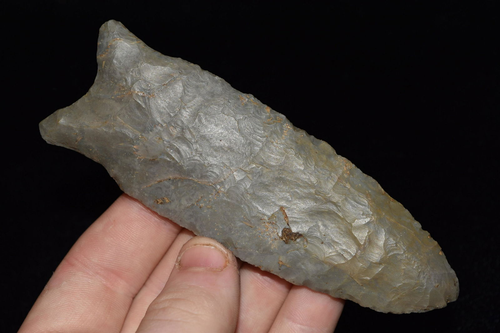 4 1/2" Holland Dalton, found by Jack Baker in Wayne Co (1 of 5)