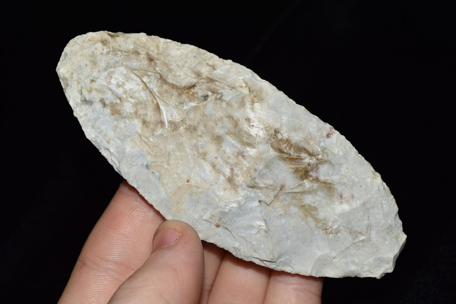 4 1/4" Paleo Blade, found by Terry Guinn in Knox Co., (1 of 4)