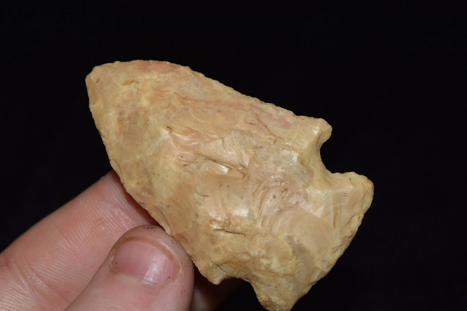 2 1/4" Burlington Gibson, Lewis Co., MO, Matt Lay (1 of 4)