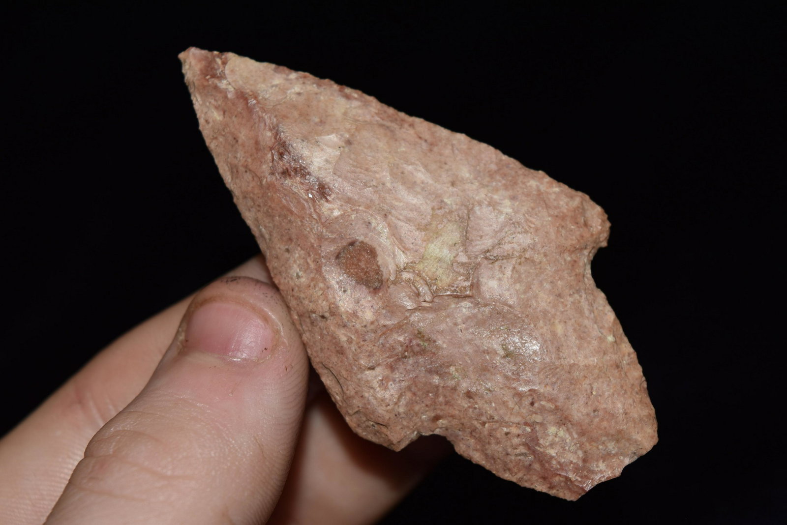 2 7/8" Adena Dickson, Ralls Co., MO, Matt Lay (1 of 4)