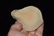 3 3/8" Roman Oil Lamp from Egypt, 3rd Century AD - 3