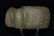 4 7/8" IL Trophy Axe found in Pike Co IL by Willard
