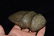 4 7/8" IL Trophy Axe found in Pike Co IL by Willard - 6