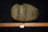 5 3/8" Highly Developed 3/4 Grooved Axe ex Ryan Perry - 6