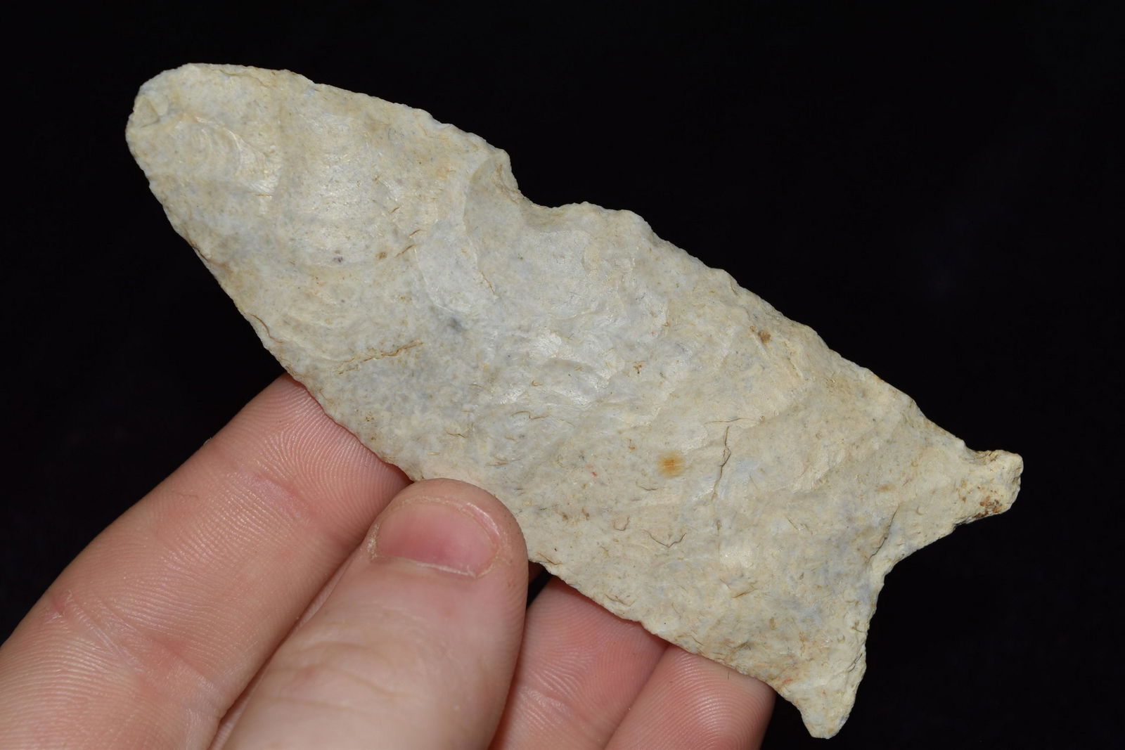 3 3/4" Burlington Quad Pettis Co., MO Keele COA (1 of 4)