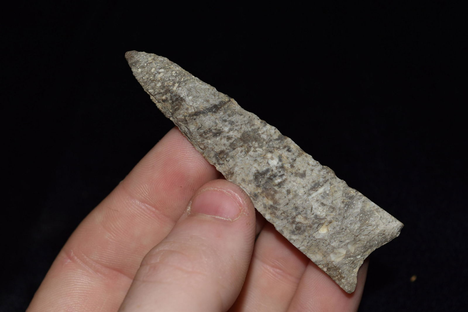 2 7/8" Chouteau Chert Plainview, Keele COA (1 of 4)