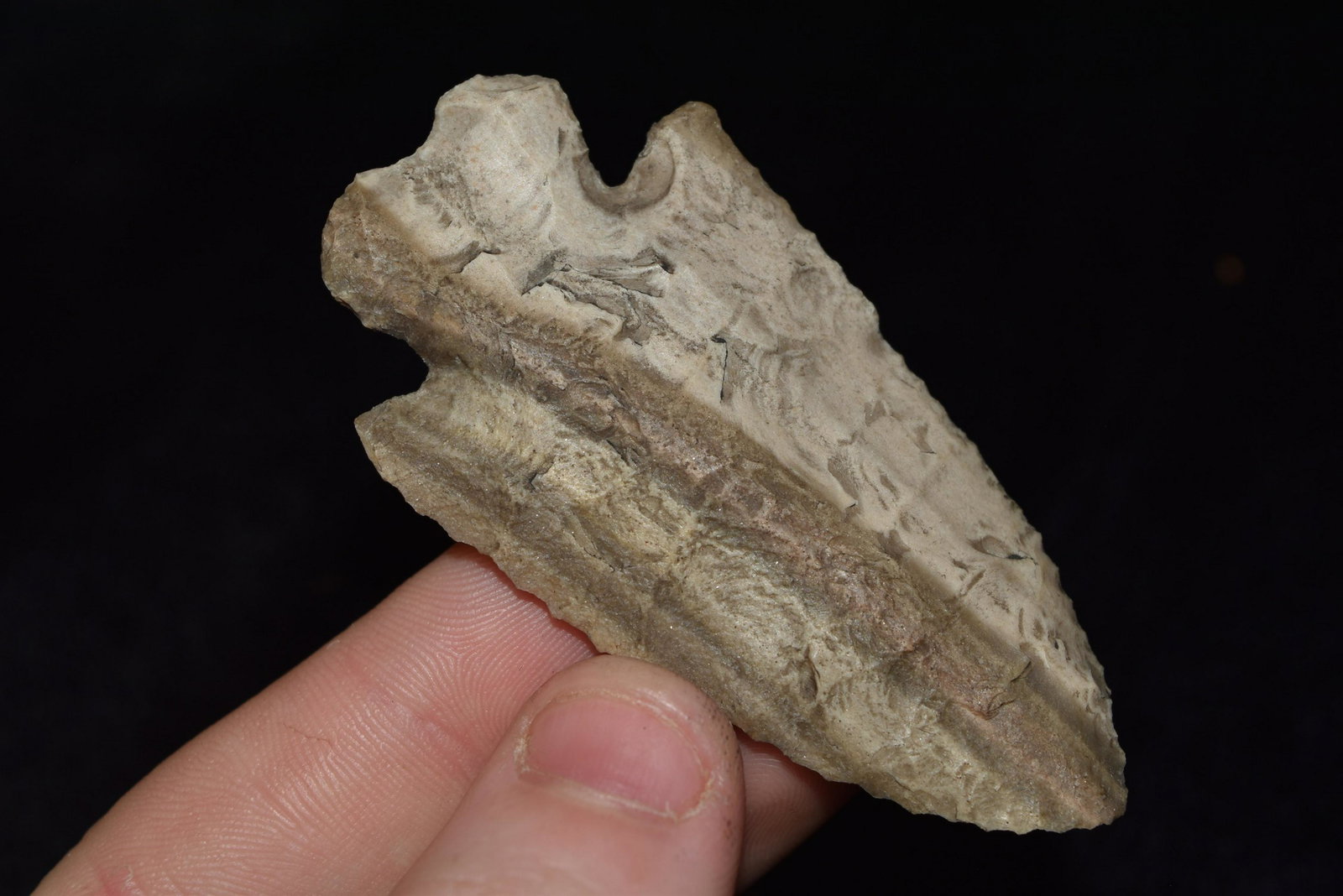 2 5/8" Chouteau Chert Heavy Duty, Keele COA (1 of 4)